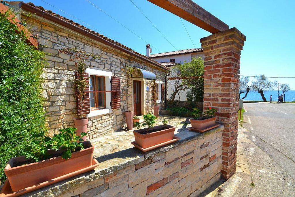 Villa Giardin Novigrad Istria Esterno foto