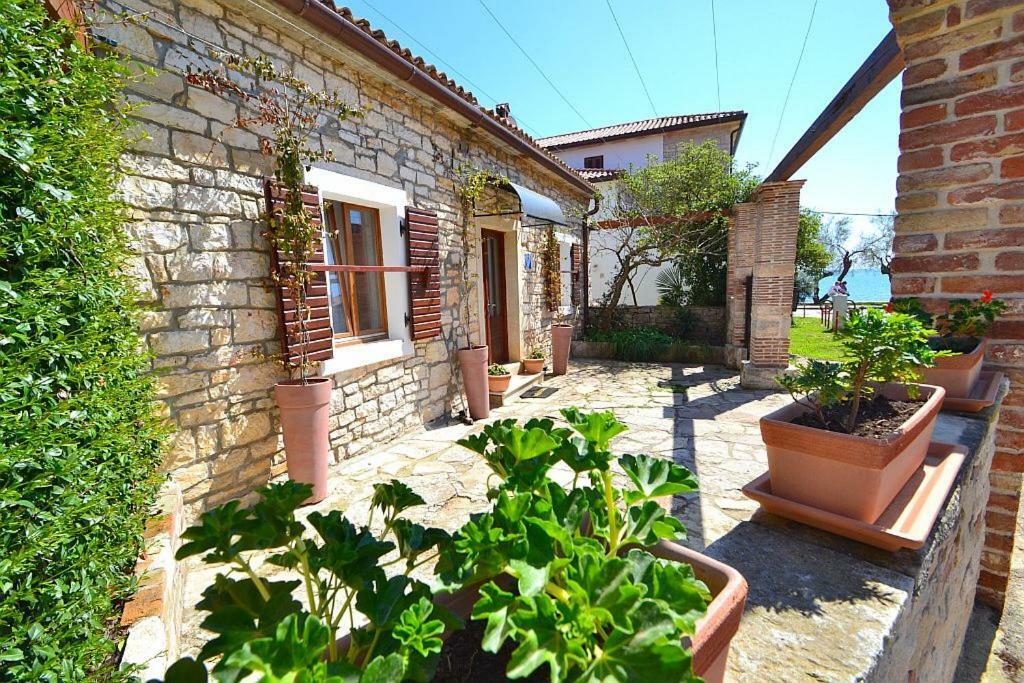 Villa Giardin Novigrad Istria Esterno foto